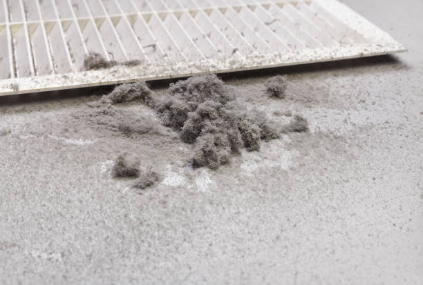 Best HVAC System Cleaning  in Taylors Falls, MN