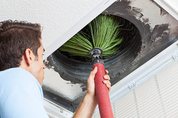 Best Air Vent Cleaning Services  in Taylors Falls, MN